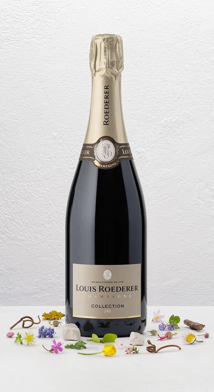 Louis Roederer Collection 245