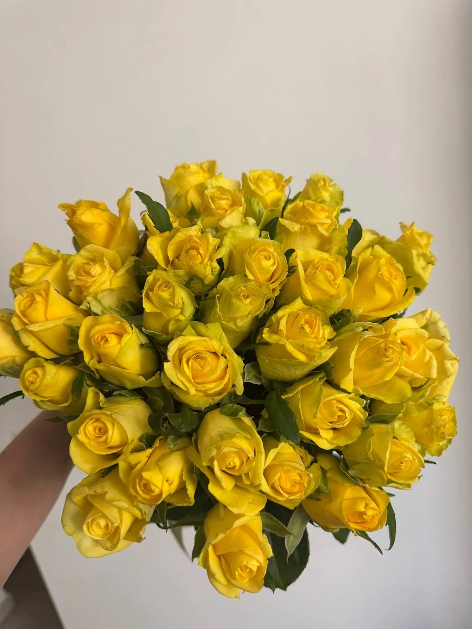 Yellow Glow Romance